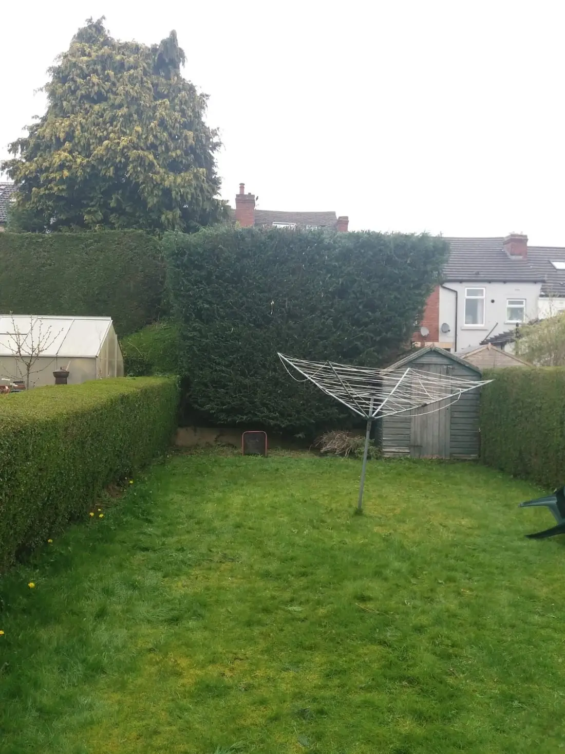 Garden hedges trimmed neatly around a lawn